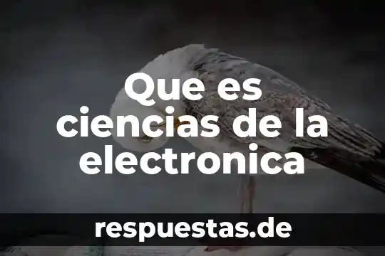 Nombres de ciencias y que es lo que investiga 3 Que es ciencias de la electronica