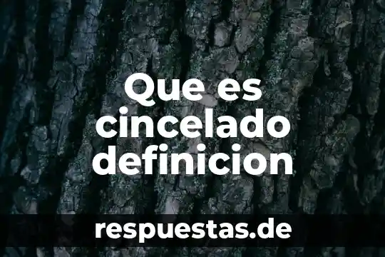 Qué es mala de conducta definición 8 Que es cincelado definicion