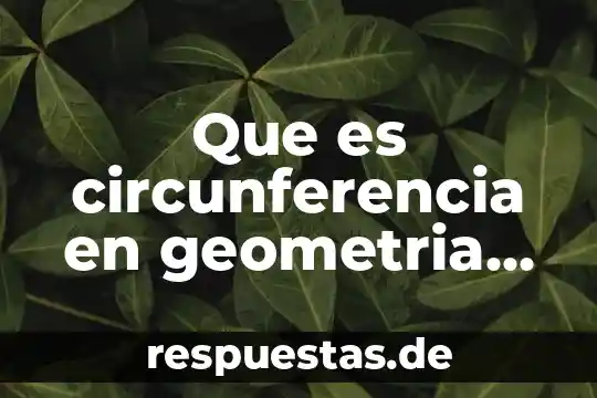 Que es circunferencia en geometria ejemplos