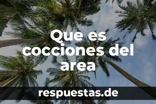 Que es definición de sólido 8 Que es cocciones del area