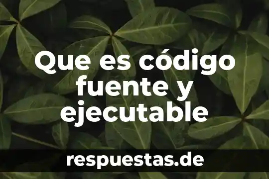 Que es un argumento e definiciones con fuente 8 Que es código fuente y ejecutable
