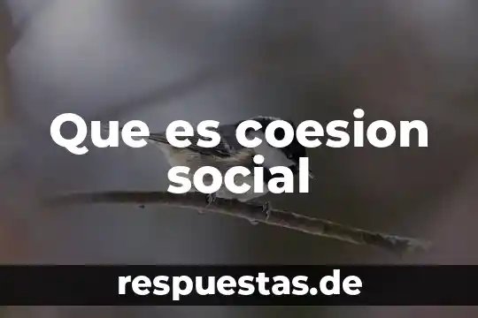 ¿Qué es un operador de ventas en un call center? 6 Que es coesion social