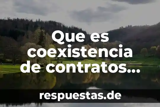 Que es coexistencia de contratos ejemplos