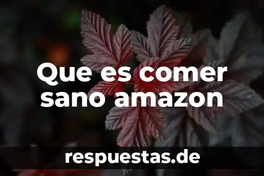 Qué es mejor dieta o comer sano 7 Que es comer sano amazon