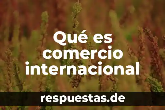 Qué es arquivoltas en arquitectura 3 Qué es comercio internacional