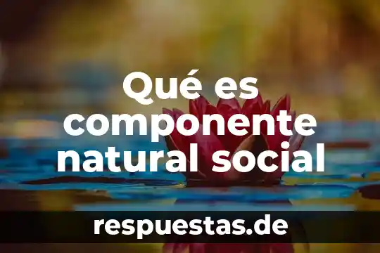¿Qué es la investigación científica y su historia? 4 Qué es componente natural social