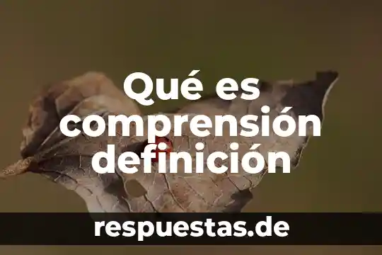 Qué es un pigtail para gas definición 6 Qué es comprensión definición