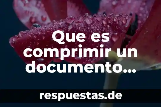 Número de documento que es 8 Que es comprimir un documento word