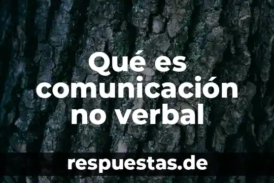 Qué es el razonamiento verbal y para qué sirve 5 Qué es comunicación no verbal