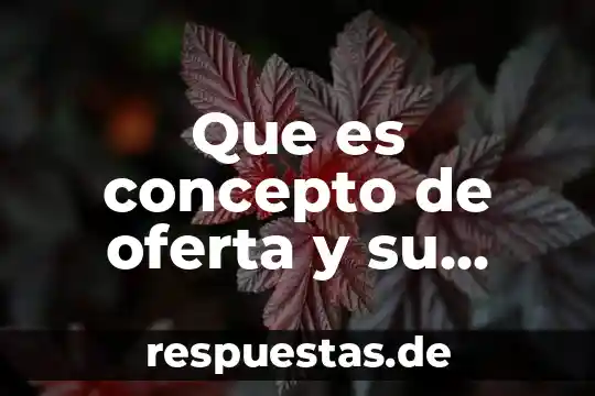 Que es concepto de oferta y su elasticidad