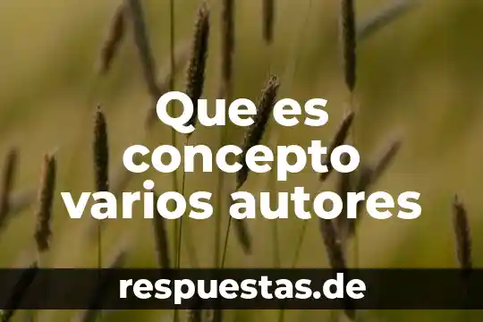Que es concepto varios autores