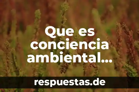 Que es un dumping ambiental 4 Que es conciencia ambiental ejemplos