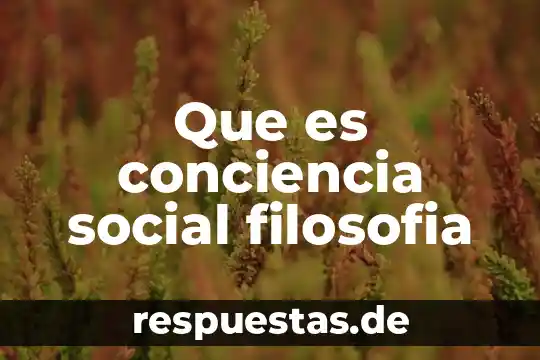 Que es conciencia social filosofia