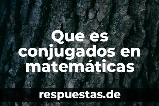 Qué es conocimiento en matemáticas 8 Que es conjugados en matemáticas