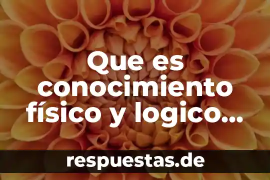 Que es conocimiento físico y logico matematico