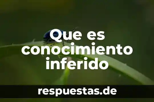 Que es toma de conocimiento 8 Que es conocimiento inferido
