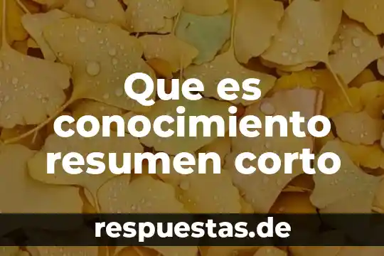 Qué es la ética de la sociedad 6 Que es conocimiento resumen corto