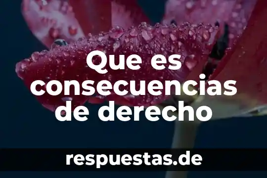 Qué es la filosofía del derecho concepto 3 Que es consecuencias de derecho