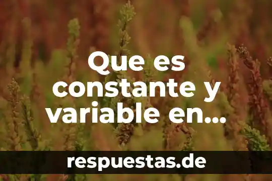 Qué es símbolo de talque matemáticas 6 Que es constante y variable en matemáticas