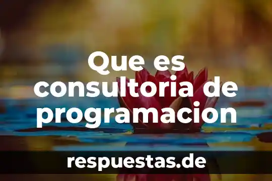 Que es consultoria de programacion