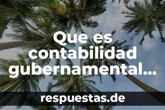 Que es contabilidad gubernamental introduccion sobre