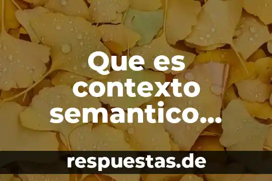 Que es contexto semantico ejemplos