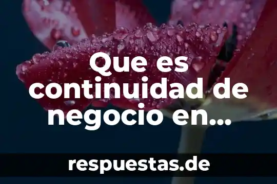Que es un negocio productivo 7 Que es continuidad de negocio en informatica