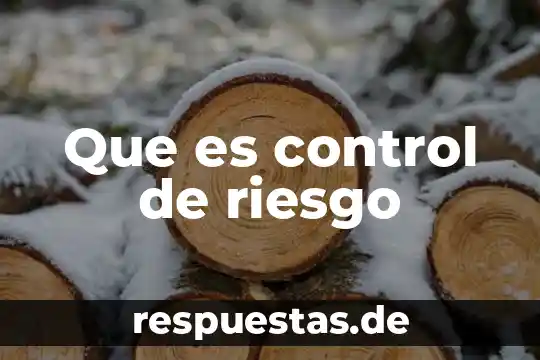 Que es una figura jiridica de un proyecto 3 Que es control de riesgo