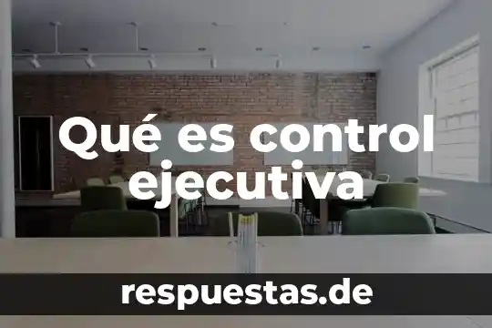 Que es el control administrativo definición 3 Qué es control ejecutiva