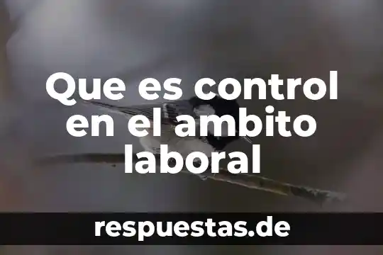 Qué es el ámbito político Yahoo 3 Que es control en el ambito laboral