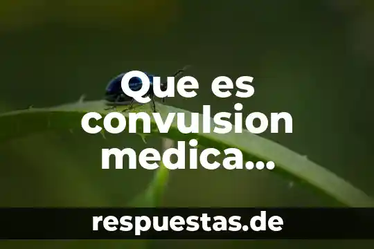 Que es mejora continua como departamento en un restaurante 3 Que es convulsion medica continua