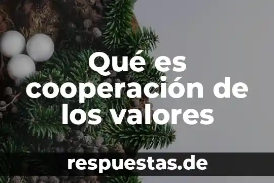 Que es sociedad mutua cooperacion 3 Qué es cooperación de los valores