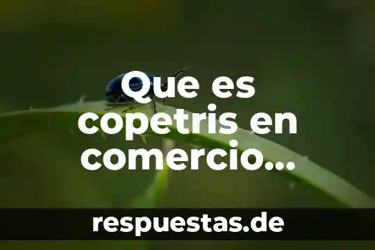 Qué es número del comercio 3 Que es copetris en comercio exterior