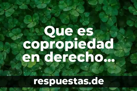 Que es la condemnation en derecho romano 8 Que es copropiedad en derecho romano