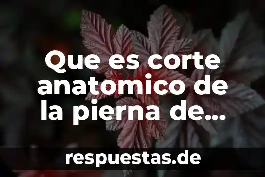 Qué es el corte de listón 7 Que es corte anatomico de la pierna de pollo