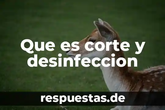 Suprema Corte de Justicia de la Nación que es 3 Que es corte y desinfeccion
