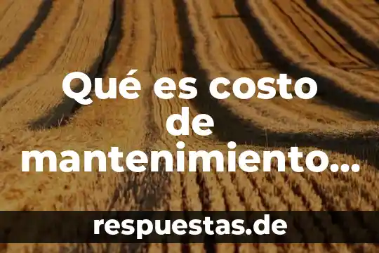 Que es dar mantenimiento a una computadora significado 3 Qué es costo de mantenimiento de inventario