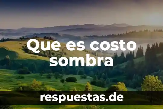 Que es costo sombra