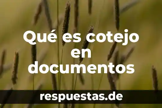 Qué es importante la planeación 5 Qué es cotejo en documentos