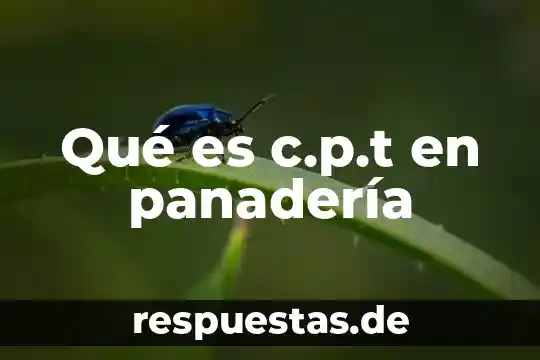 En si que es un paradigma-filosofia 3 Qué es c.p.t en panadería