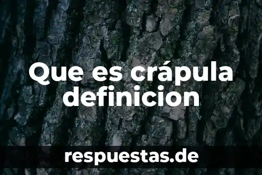 Que es un agonista definicion 4 Que es crápula definicion