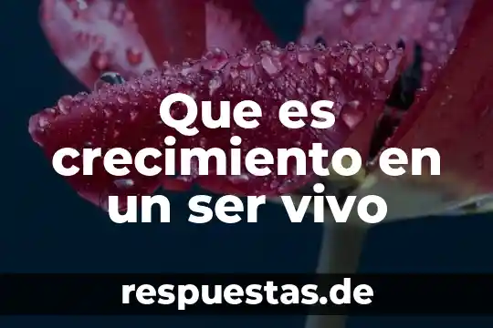 Qué es sanborns antes de ser restaurante 5 Que es crecimiento en un ser vivo