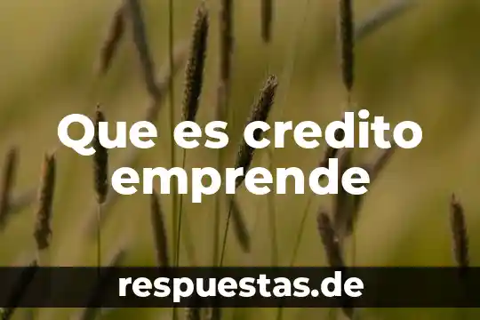 Qué es la norma de crédito 5 Que es credito emprende