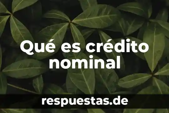 Que es el numero cvv de una tarjeta de credito 4 Qué es crédito nominal