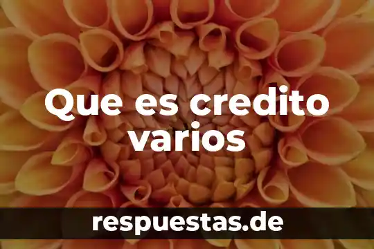 Qué es auditoria administrativa según varios autores 6 Que es credito varios
