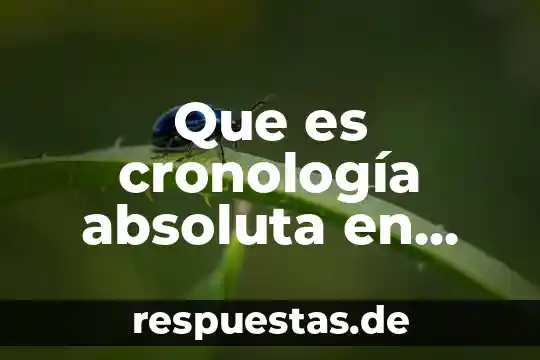 Que es cauries en la historia 7 Que es cronología absoluta en historia