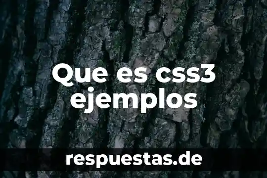 Qué es arquitectura y ejemplos 7 Que es css3 ejemplos