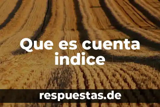 ¿Qué es variantes lingüísticas y características? 6 Que es cuenta indice