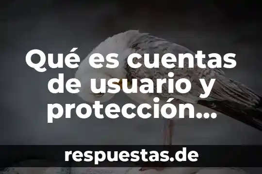 Qué es cuentas de usuario y protección infantil