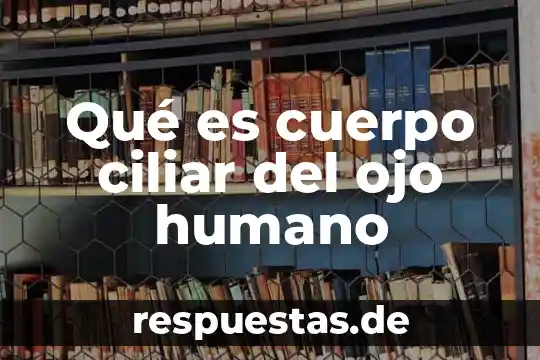 Que es un boro cuerpo 8 Qué es cuerpo ciliar del ojo humano